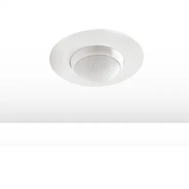 Кронштейн Cabasse Alcyone 2 Adapter in ceiling